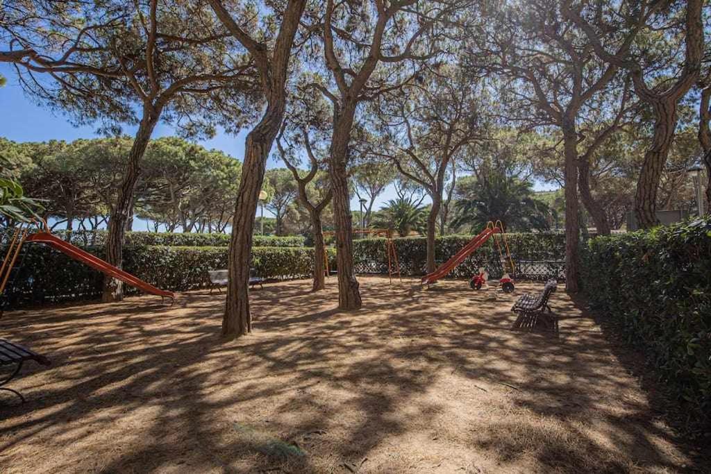 Condal Blanes