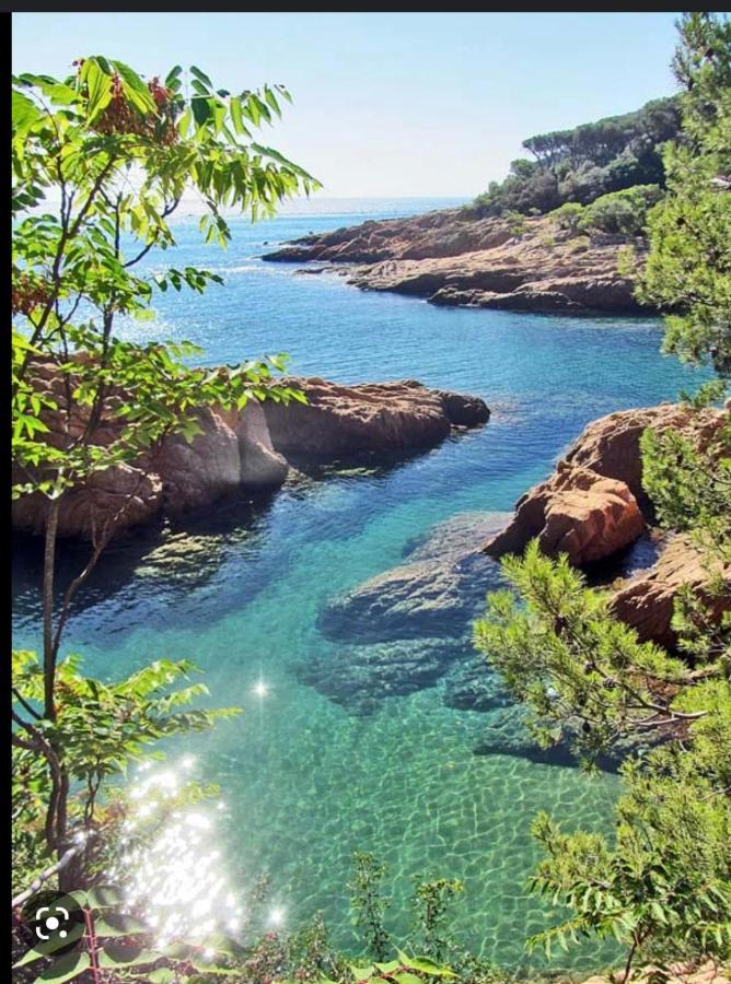 Apartamento, Piscina, Mts De La Playa, St Feliu Guixols, C Brava Apartamento