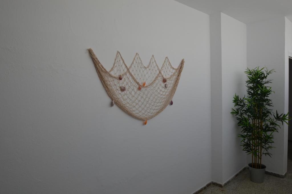 Center 3 * Rosas