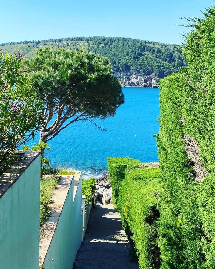 Exclusive Sea Front Costa Brava L' Escala