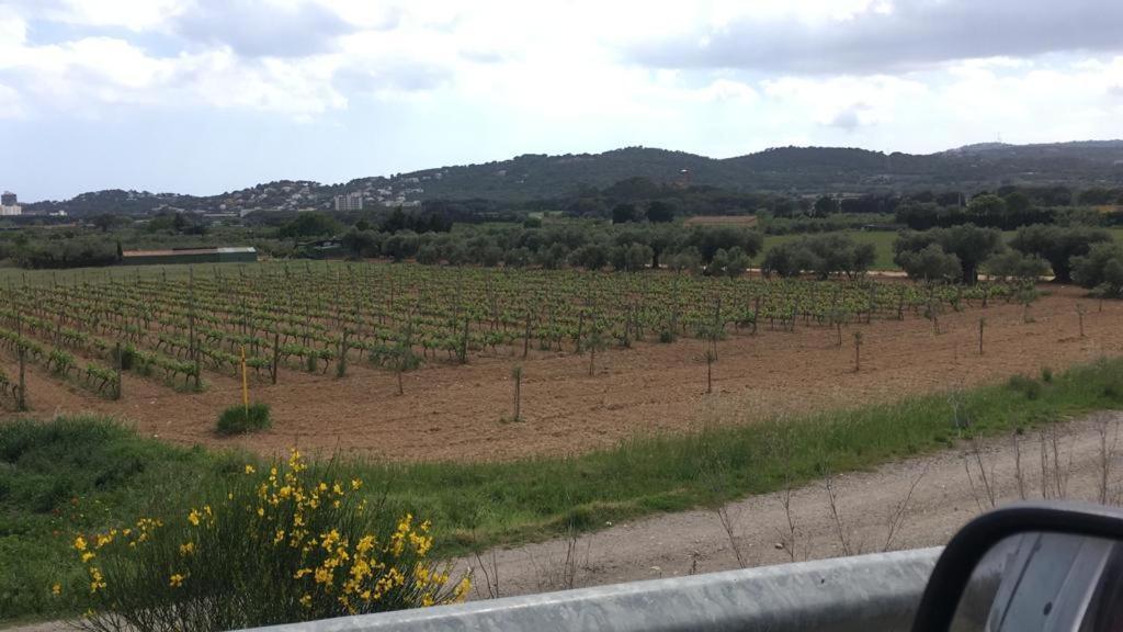 Pinar Del Mar