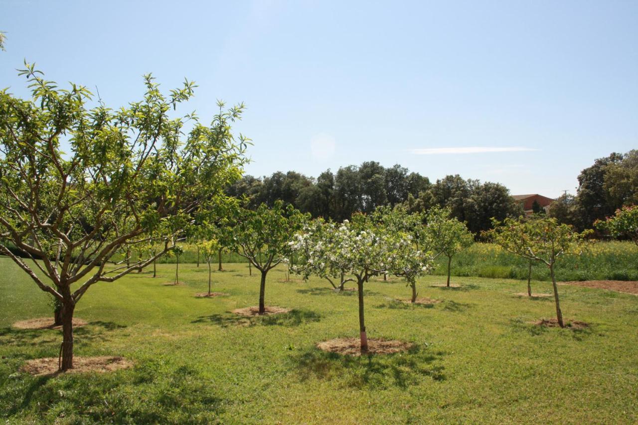 Country house Masia Rural Poch