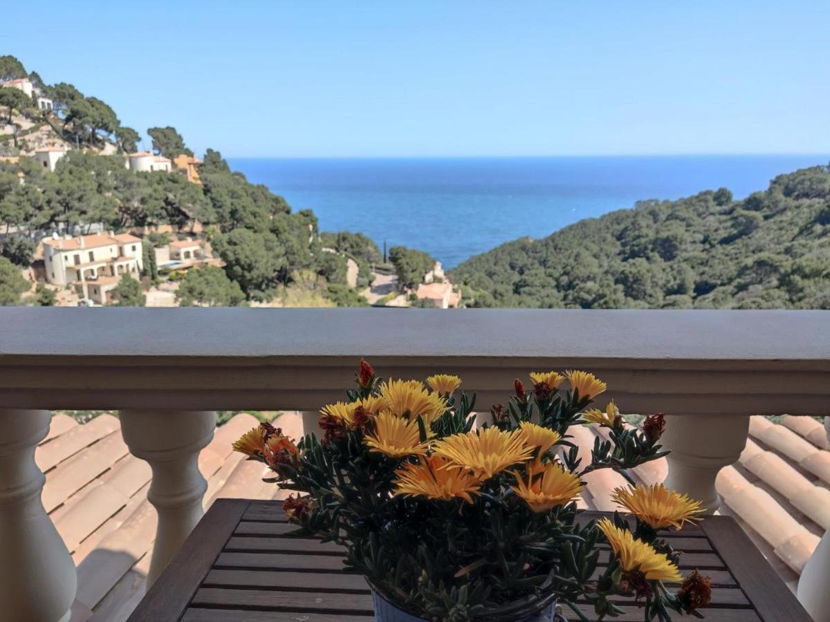 Magnifique Vue
