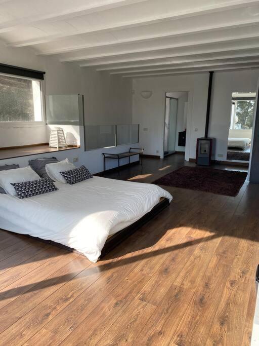 Villa Casa Y Loft Minimalista, Jardin Y Parking Privado