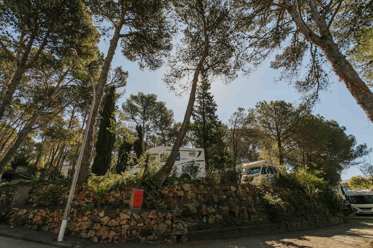 Campsite Santa Elena