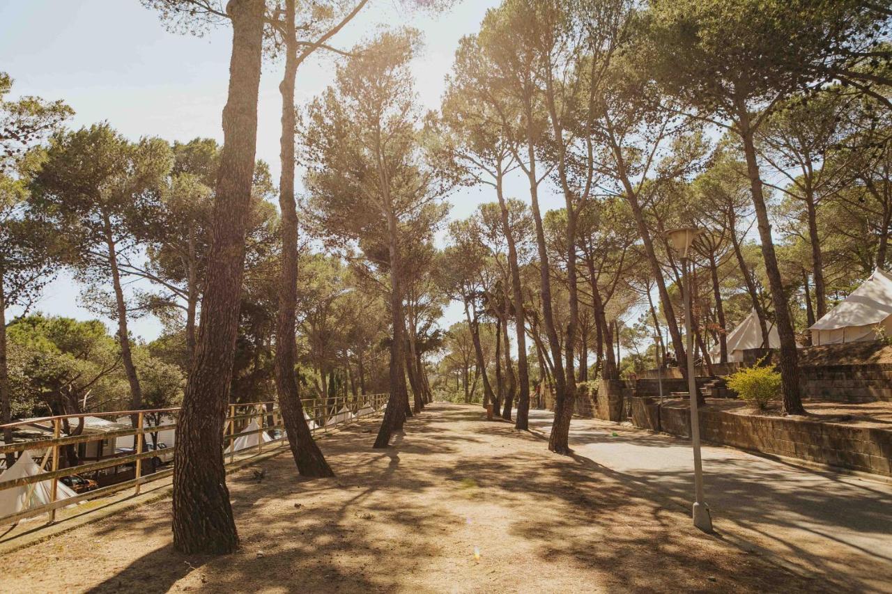 Santa Elena Lloret de Mar