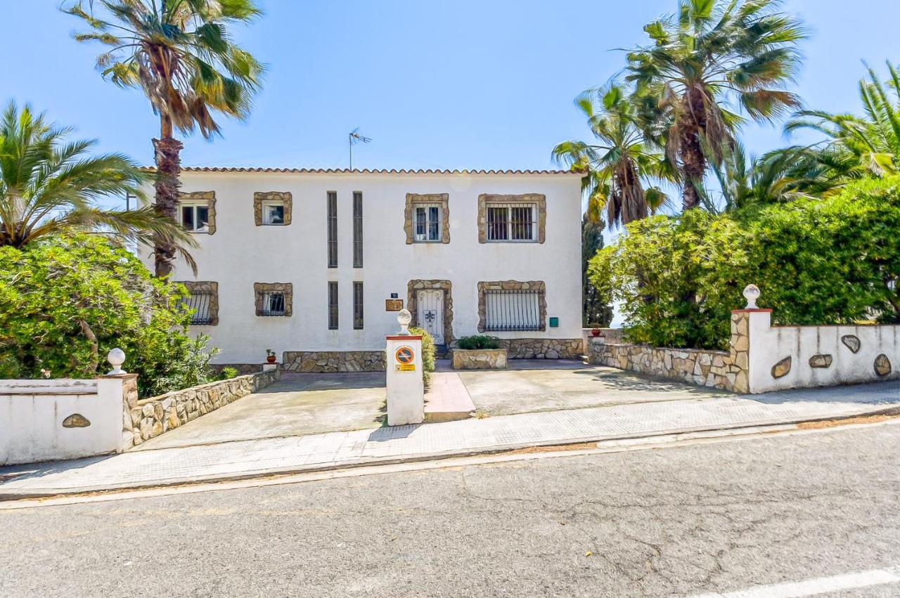 Sta Barbara 9 - Barneda Premium