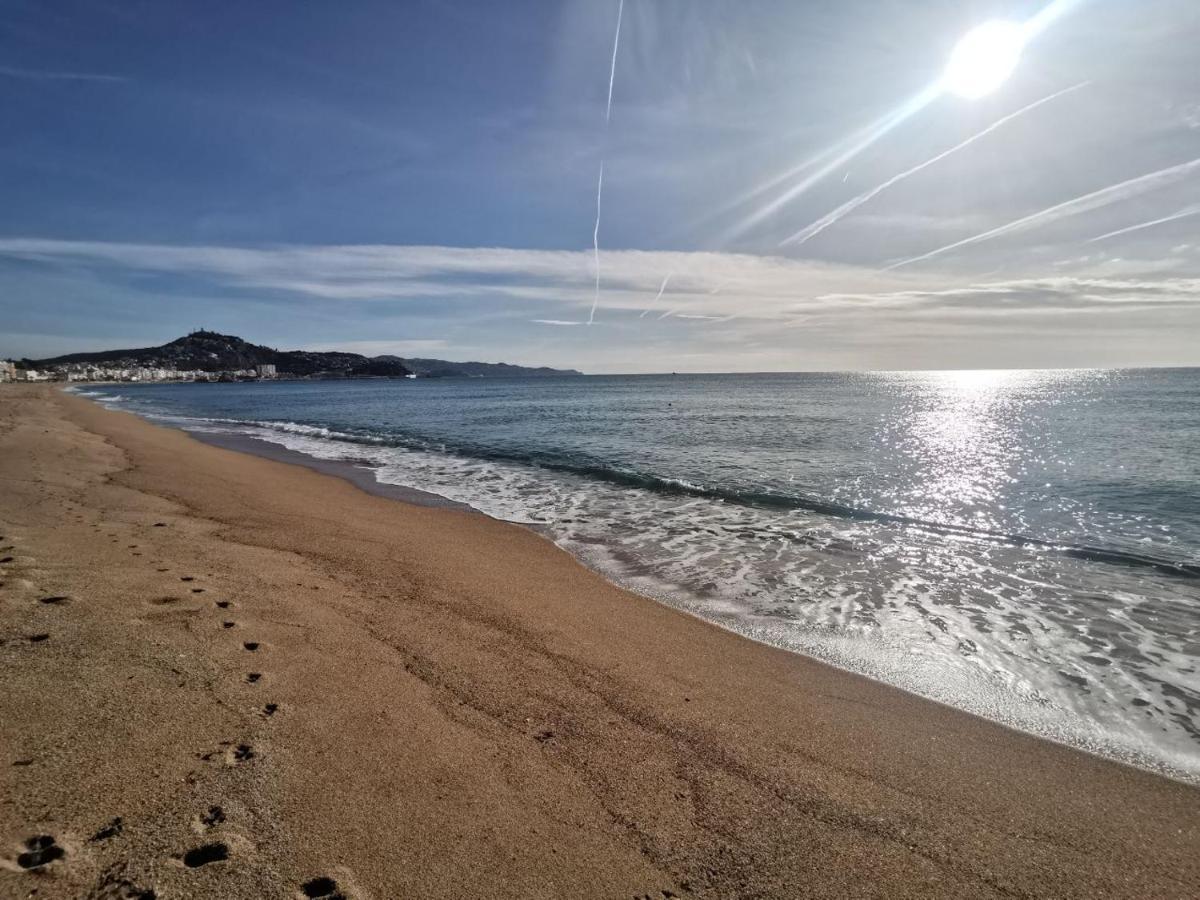 Near The Sea In Blanes