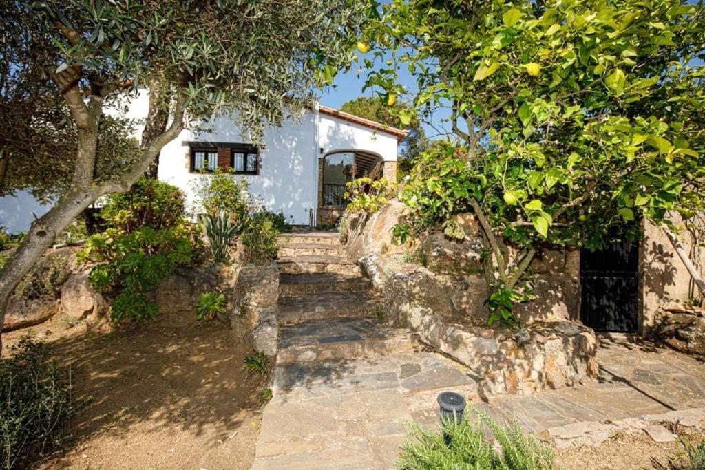 Villa Boheme Costa Brava Calonge (Catalonia)