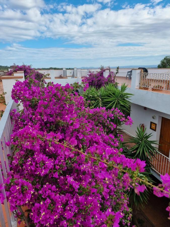 El Penell Estudi Mestral Apartment
