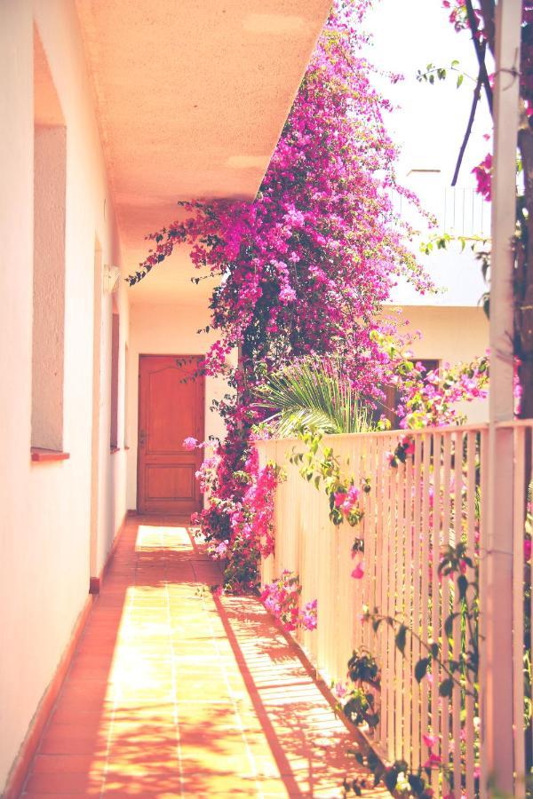 El Penell Llevant Apartamento