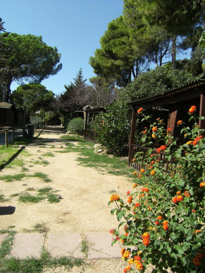 Club Aire Libre Tossa de Mar