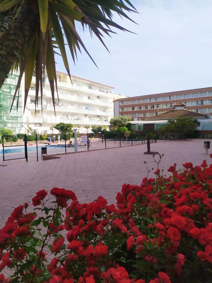 Alegre Apto Con Piscina, A 300m De La Playa. Apartamento *