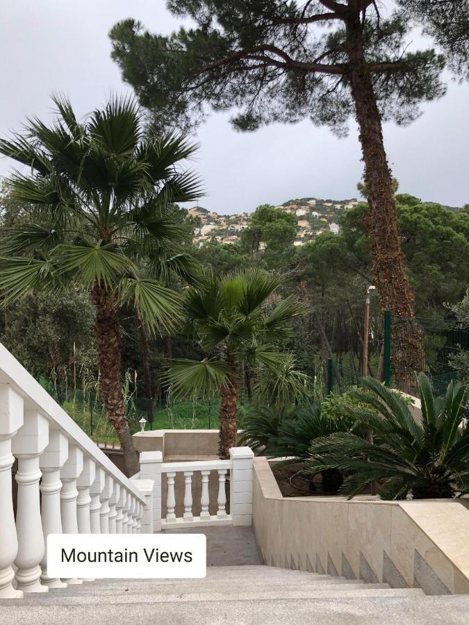 Luxury - Private And Pool - *