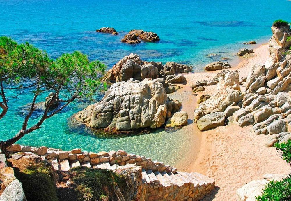 Alegria Center Platja d'Aro