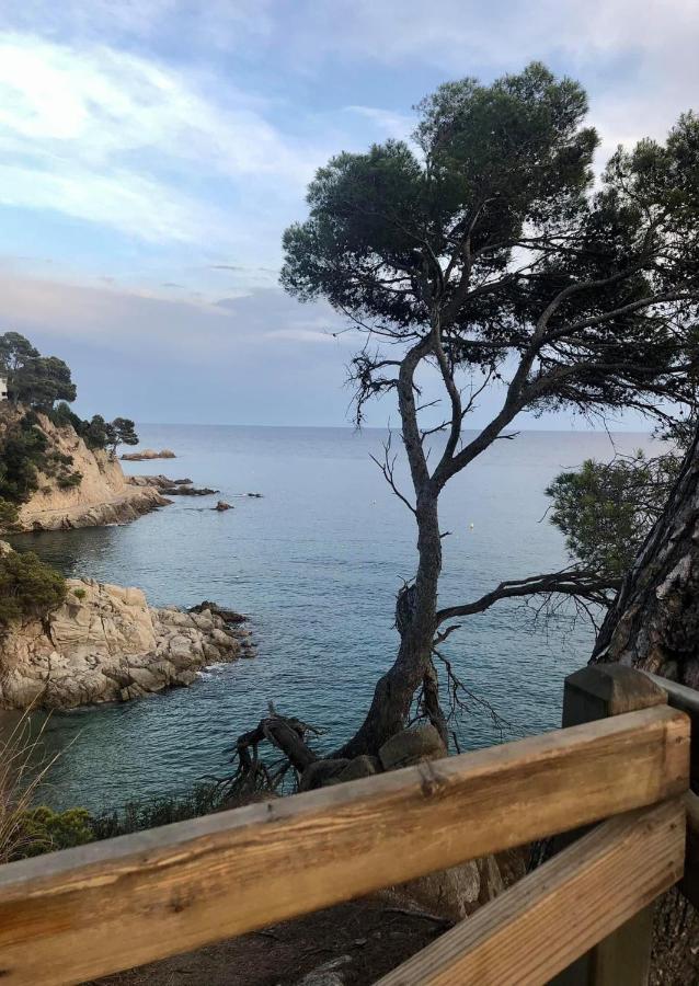 Les Terrasses De Cala Llevado Apartamento