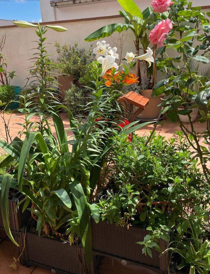 Apartment Figueres Center Figueres (Girona)