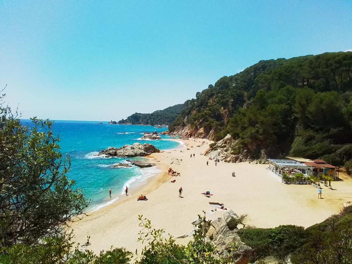 Max Villa Lloret de Mar
