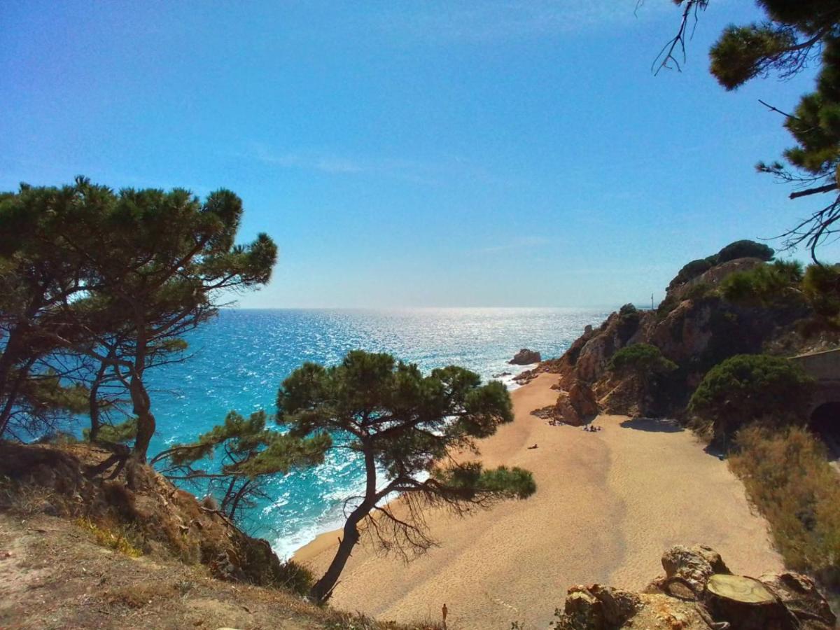 Villa Max Lloret de Mar