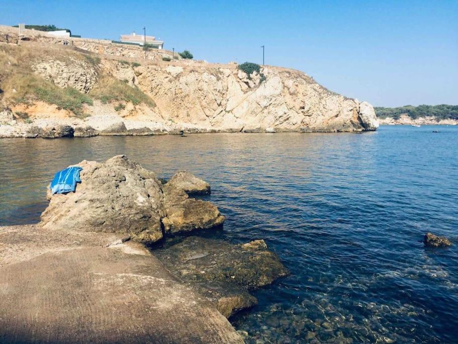 El Niuet * L' Escala
