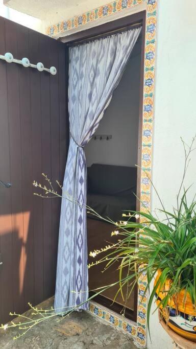 Xalet Azul, Your Secret Garden In *