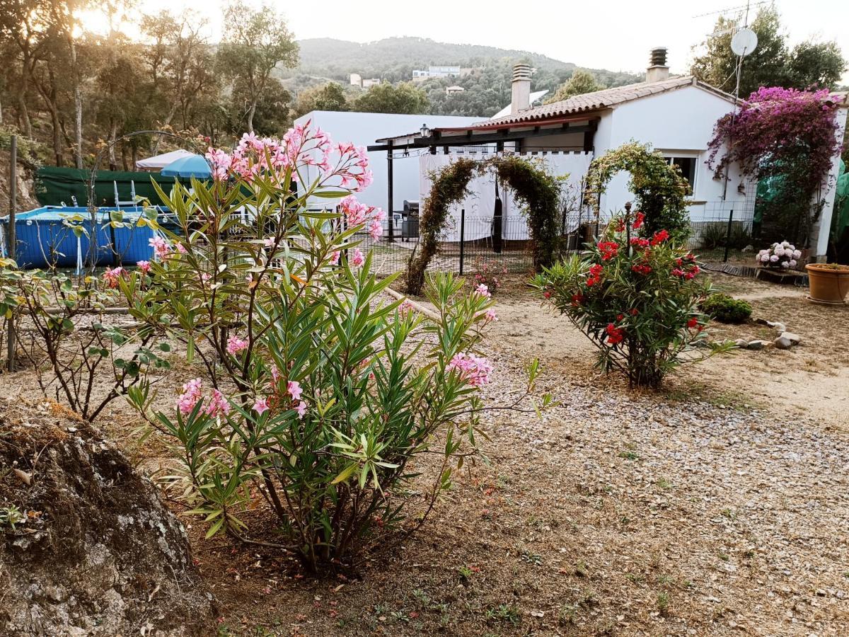 Сasa de vacaciones En Entorno Natural De La Costa Brava *