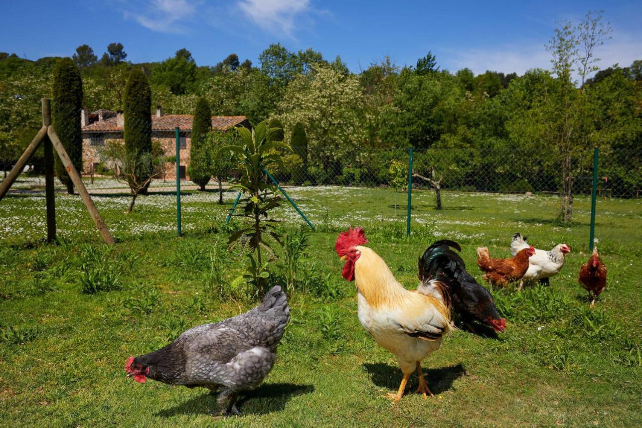 El Celler - Bonet Farm stay