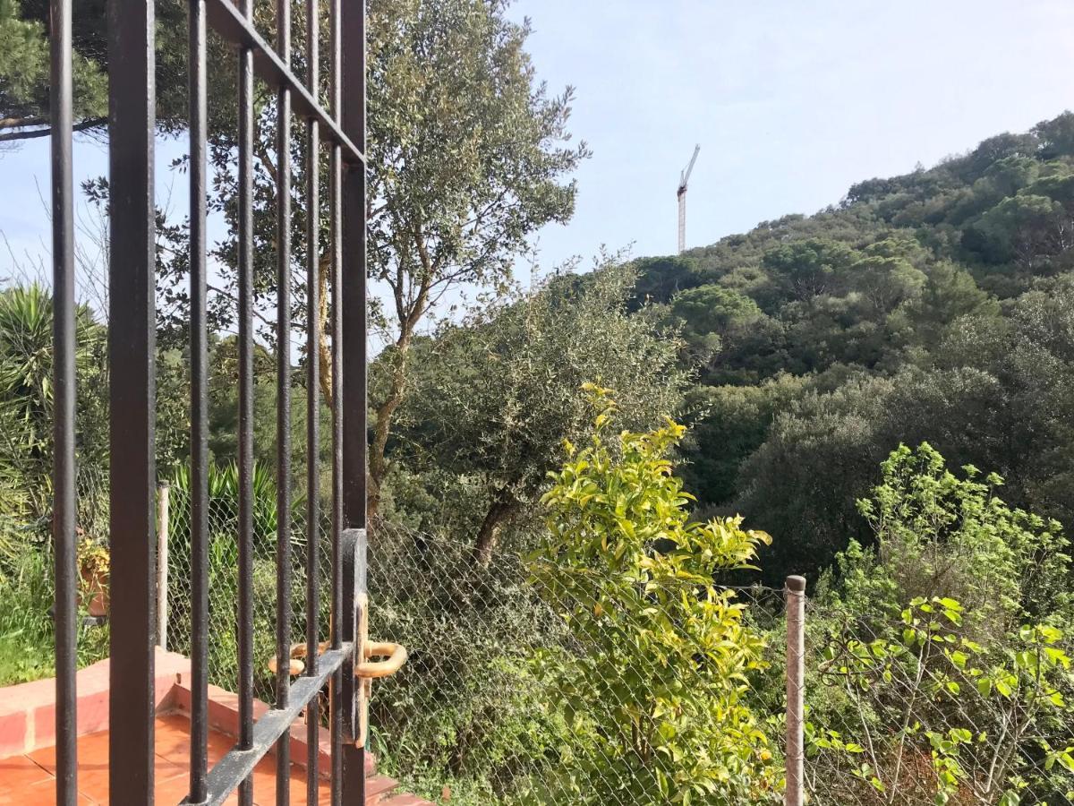 Apartamento Begur Apartment Begur