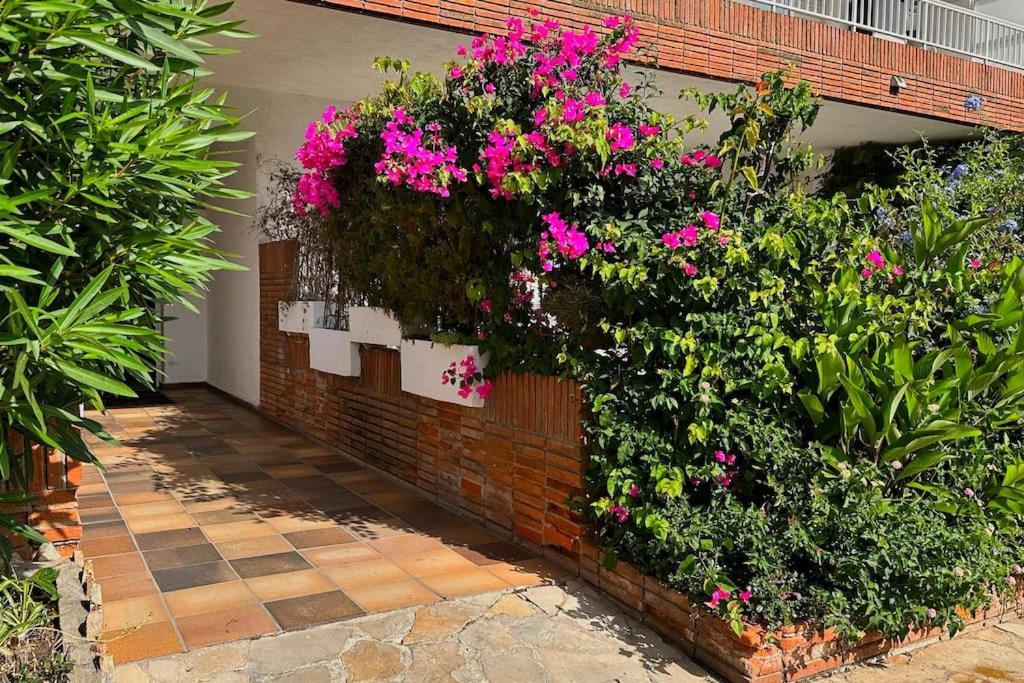 Apartment Piso Amable Con Piscina Cerca De Mar *