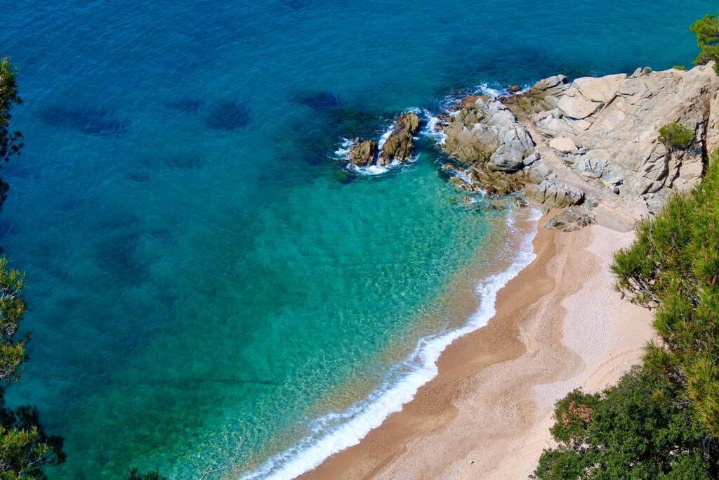 Apartamento Estudio A 100m De La Playa Tossa de Mar