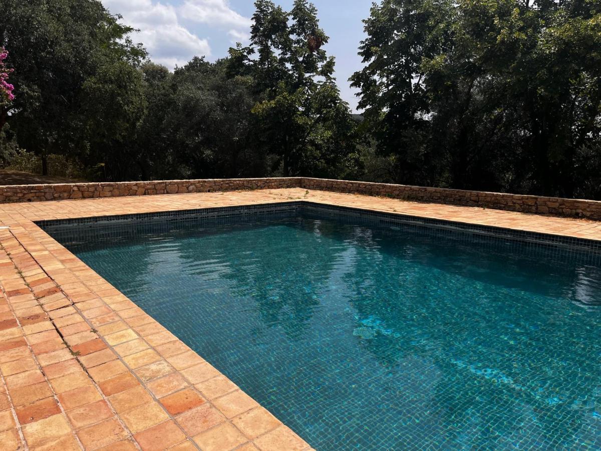 Holiday home Mas Noguer Girona