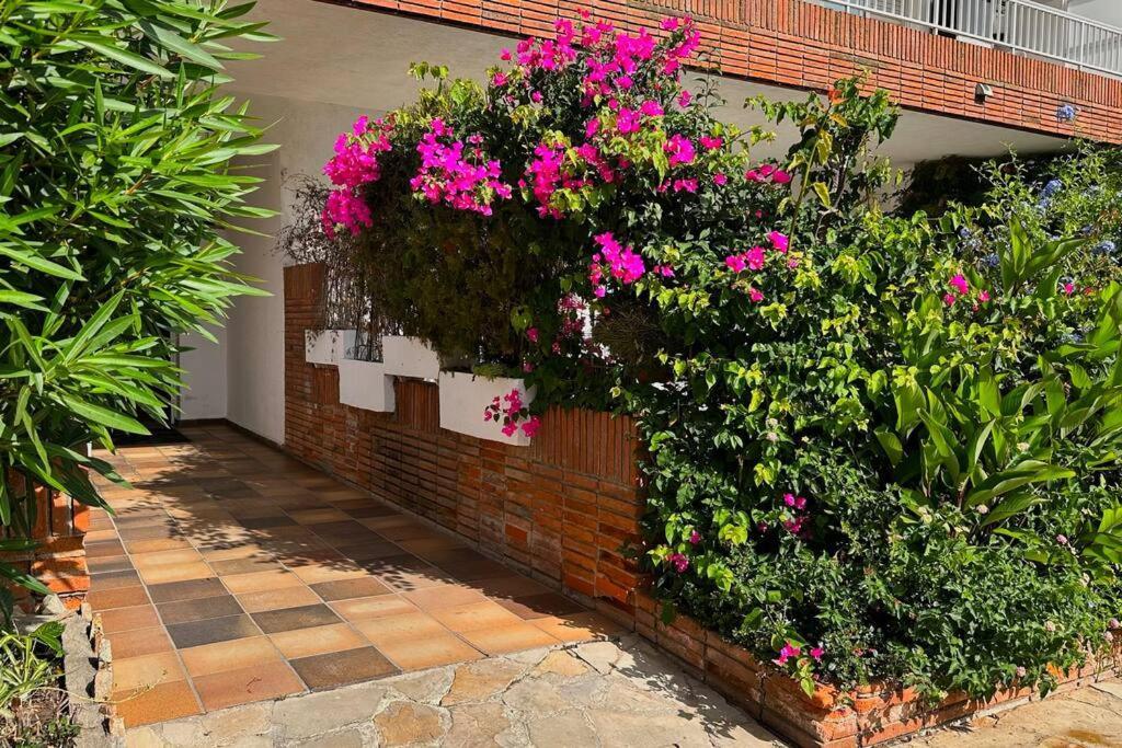 Apartamento Acogedor , Blanes