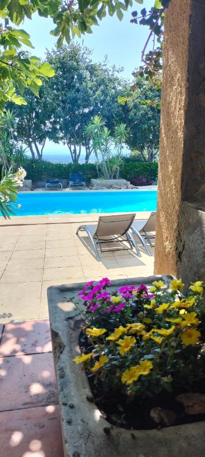 Ca La Figuera, Casa De Pueblo Con Piscina En Costa Brava * Palau Saverdera