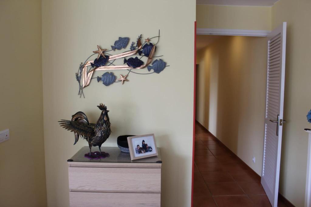 Apartamento Oller Centro