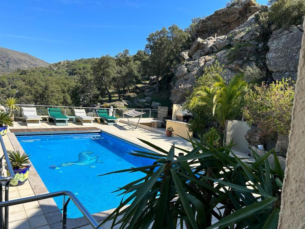 Apartment Casaleo Harry - / Costa Brava Roses