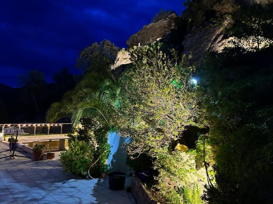 Casaleo Harry - / Costa Brava Roses