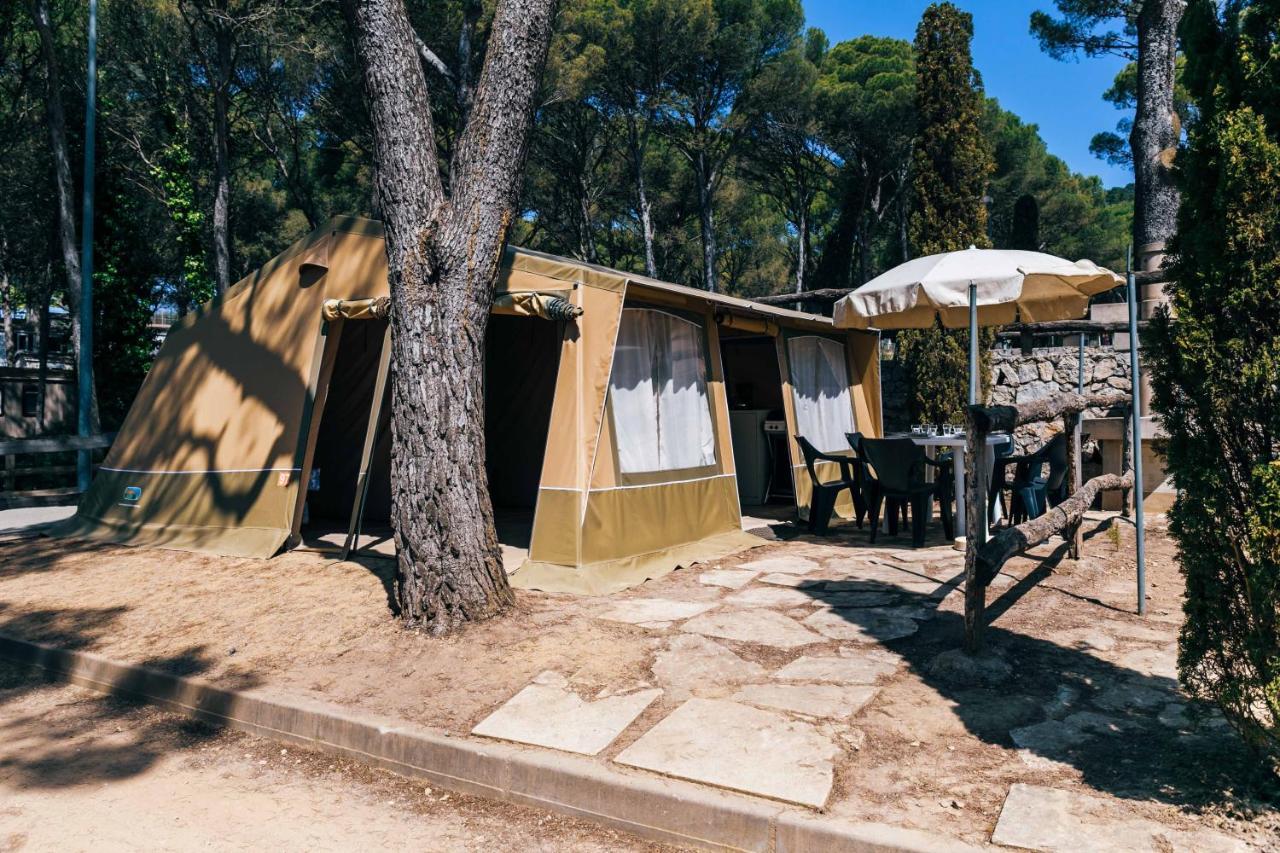 Castell Montgri **** * L'Estartit