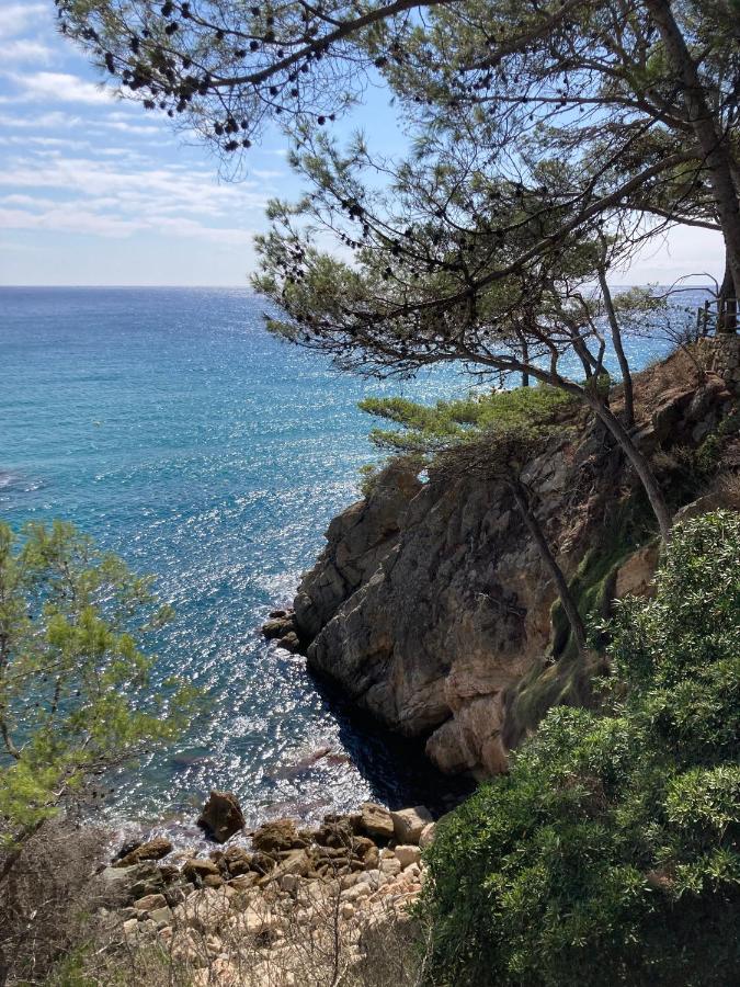 Studioloft Costa Brava Apartamento Calonge (Catalonia)
