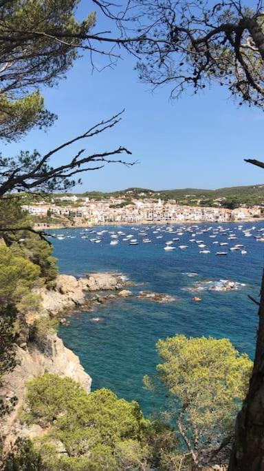 The Golden Oak In Calella Centre - 100m From Apartamento