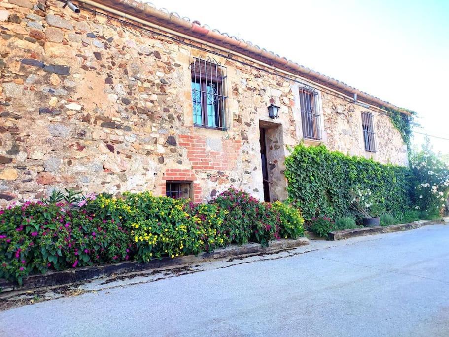 Mas Fina * Palafrugell