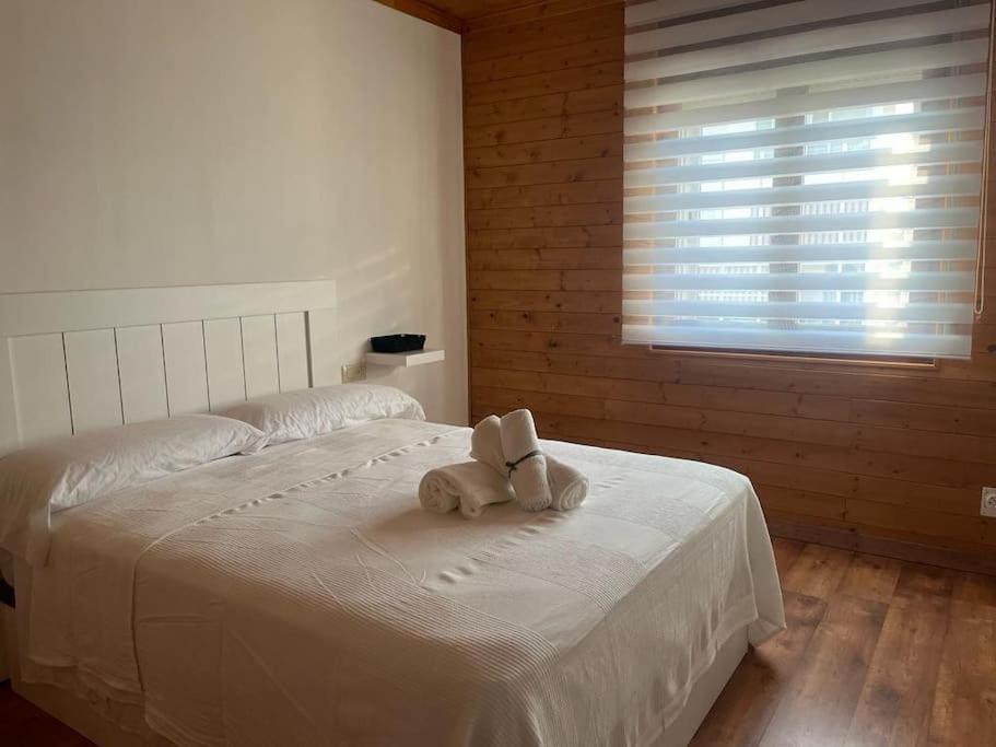 Apartment Atico Luminoso Centrico Y Comodo Figueres (Girona)