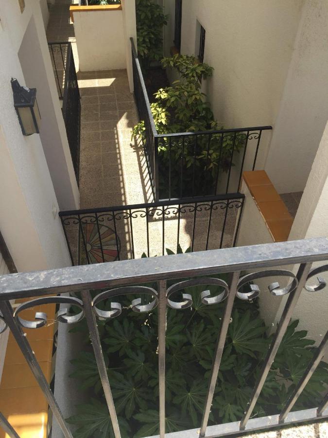 Apartment « el Jardin « puig Rom