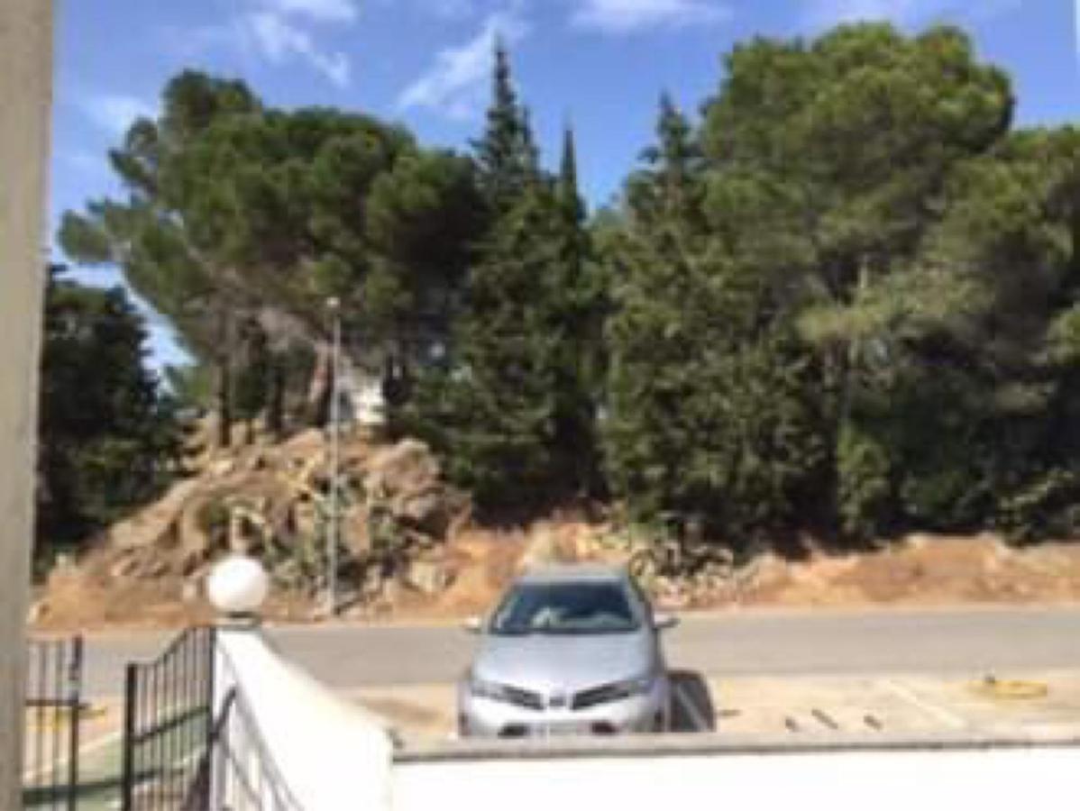 Apartment « el Jardin « puig Rom *