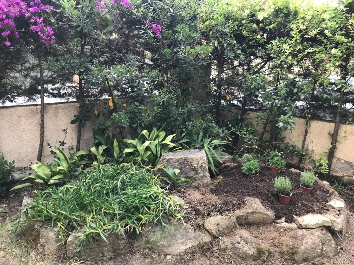 T3 De 65 M2 Terrasse Jardin A 300 M De La Apartamento *