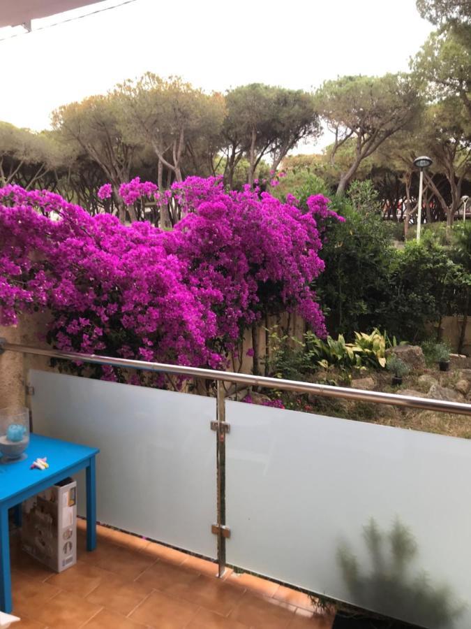 T3 De 65 M2 Terrasse Jardin A 300 M De La * Platja d'Aro (Playa de Aro)
