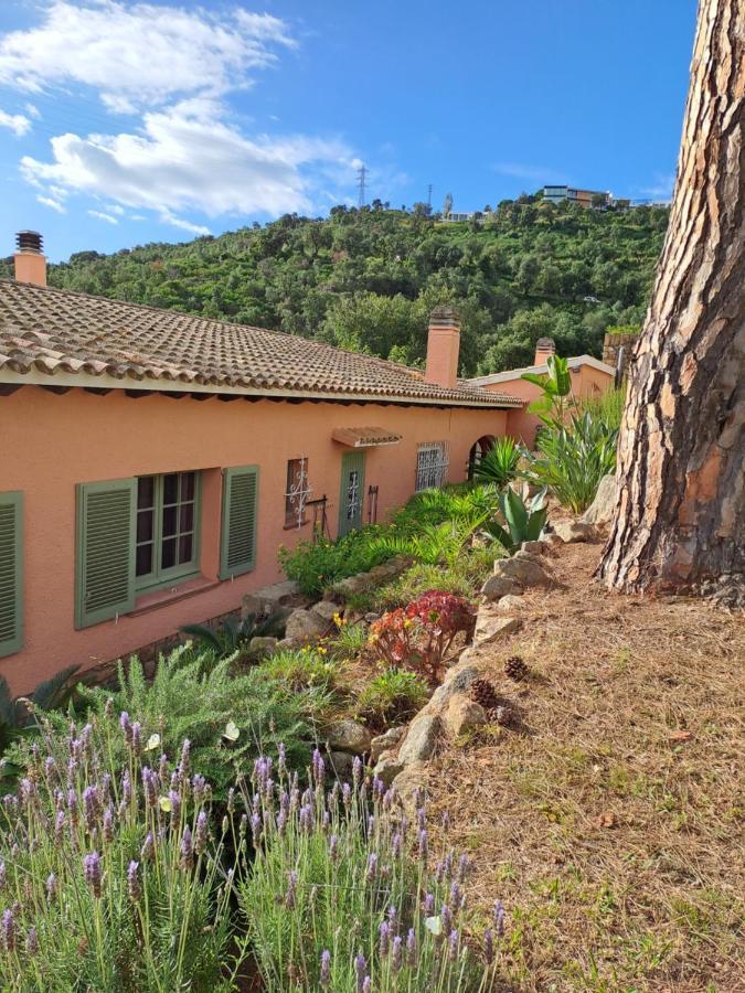 Villa La Casa Celestial Platja d'Aro (Playa de Aro)