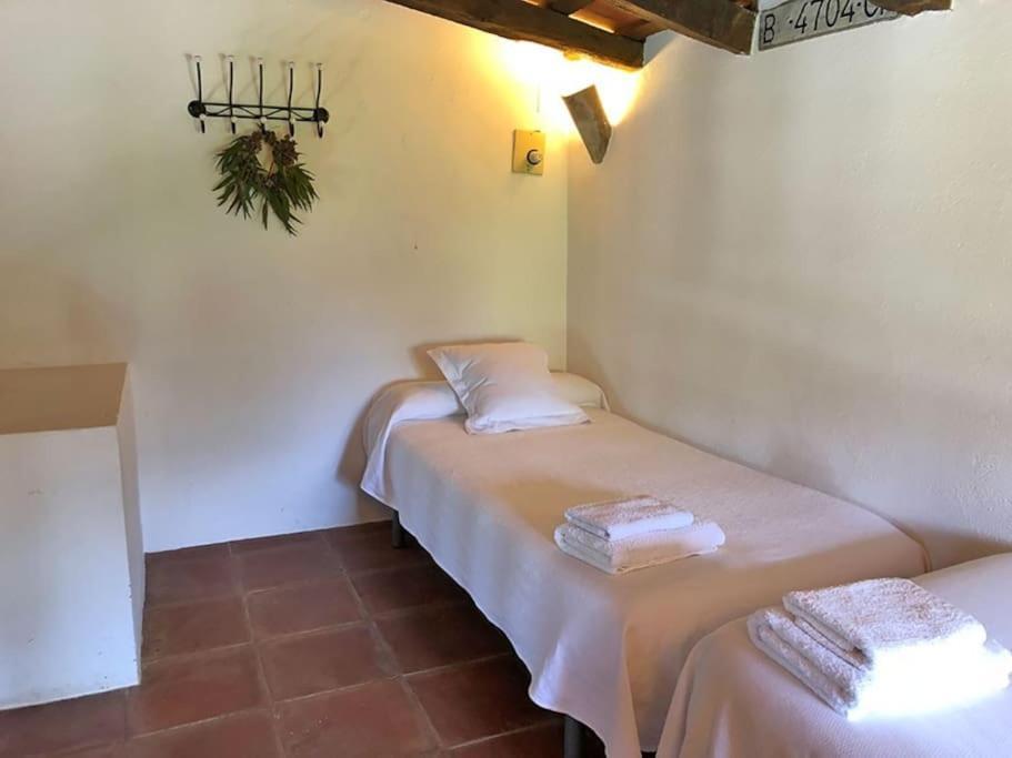 Aricus Rural: Cal Tia Chalet