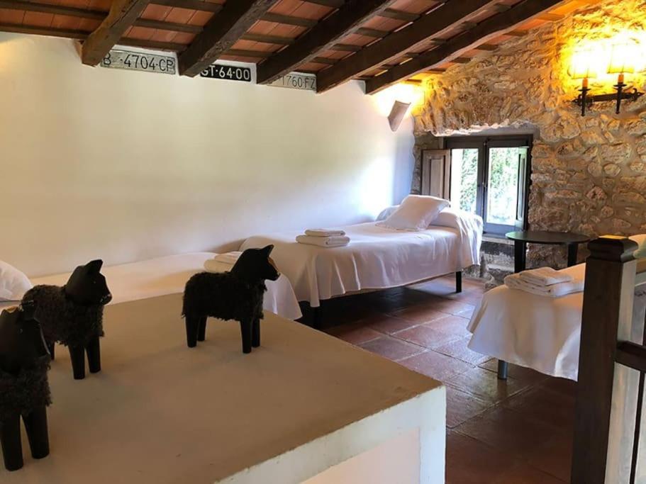 Aricus Rural: Cal Tia Chalet Gerona
