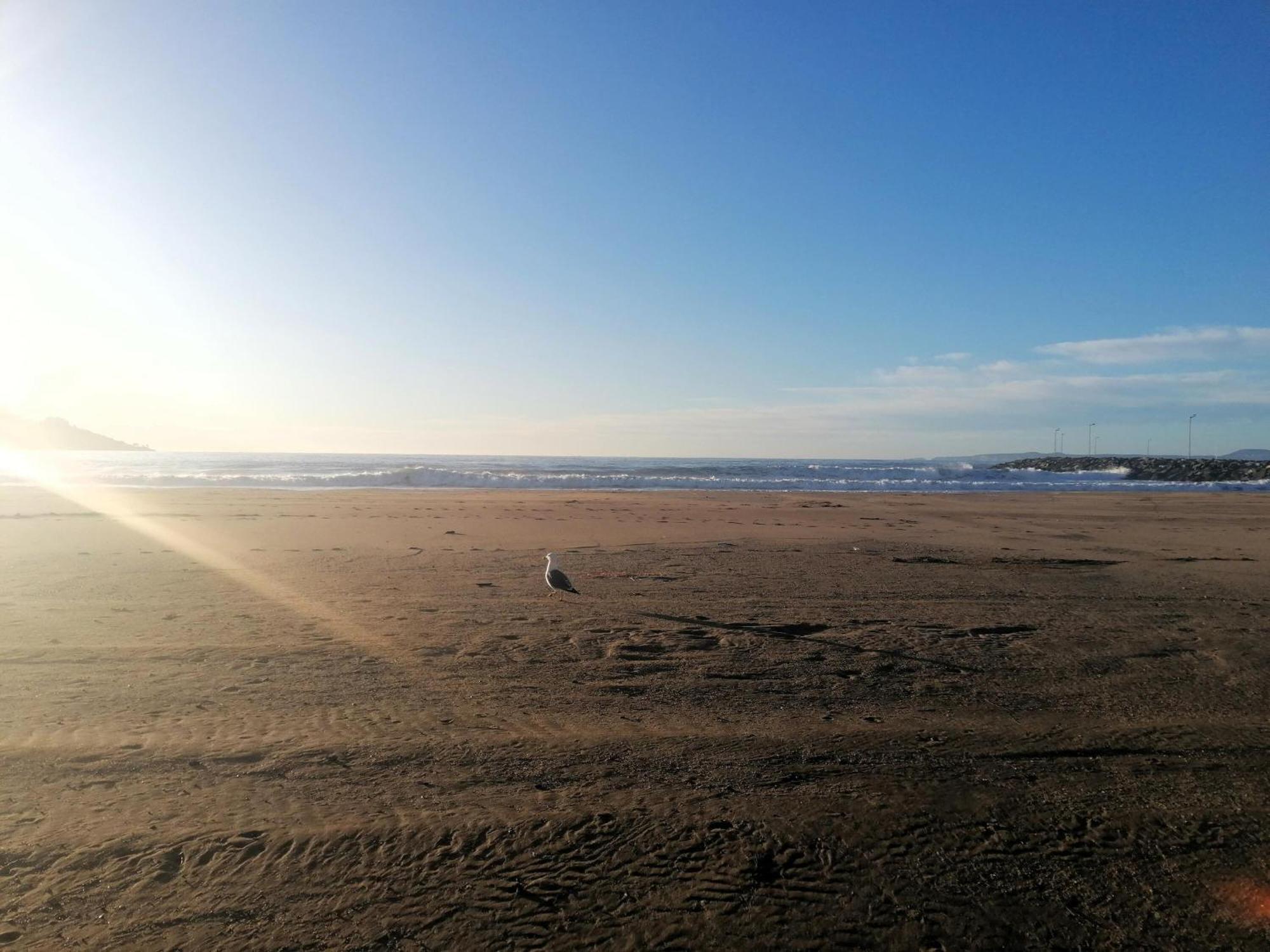 En Roses: Terraza, A/a, Wifi, Parking, 2ª Linea De Playa - Es-258-89