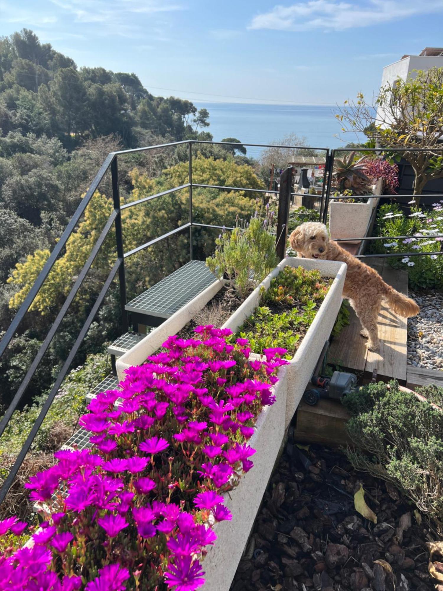 Casa Karian Apartamento Tossa de Mar